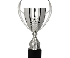 Sidabrinis metalinis puodelis