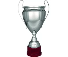 Sidabrinis metalinis puodelis TS