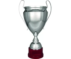 Sidabrinis metalinis puodelis TS