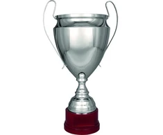 Sidabrinis metalinis puodelis TS