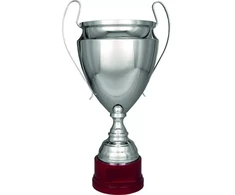 Sidabrinis metalinis puodelis TS