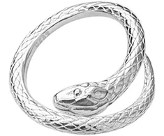 Sidabrinis žiedas Snake