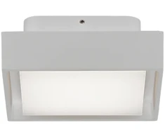 Lubinis šviestuvas 10W LED lubinis fasado šviestuvas NEXUS, baltas, 2700/3000K, IP65, P2083071B