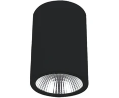 10W LED paviršinis fasado šviestuvas DERMOT, juodas, 3000K, IP65, 4334801