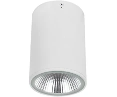 10W LED paviršinis fasado šviestuvas DERMOT, baltas, 3000K, IP65, 4334800