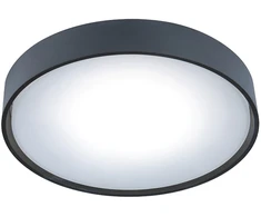 Sieninis šviestuvas 10W LED plafonas IBIZA, tamsiai pilkas, 3000K, IP65, 4298800