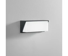 Sieninis šviestuvas 12W LED sieninis fasado šviestuvas LUXON, antracito sp., CCT, IP54