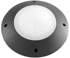 Sieninis šviestuvas 12W LED sieninis fasado šviestuvas laiptų apšvietimui GROUND, antracito sp., CCT, IP65