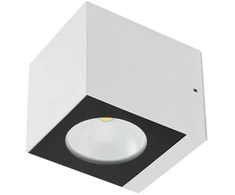 Sieninis šviestuvas 12W LED sieninis lauko šviestuvas TEKO, baltas, 3000K, IP65, 90100