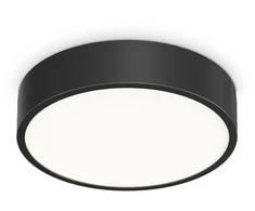 Lubinis šviestuvas Ideal Lux 13W LED plafonas RAY, juodas, 3000/4000K, IP44, 327563