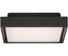 Lubinis šviestuvas 14W LED lubinis fasado šviestuvas NEXUS, antracito sp., 2700/3000K, IP65, P2083171GR