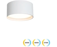 Lubinis šviestuvas 15W LED lubinis fasado šviestuvas GABRIEL, baltas, 3000/4000/5700Κ, IP44, 4336100
