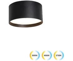 Sieninis šviestuvas 15W LED lubinis fasado šviestuvas GABRIEL, juodas, 3000/4000/5700Κ, IP44, 4336101