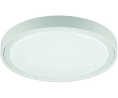 17,5W LED paviršinis šviestuvas ANABELLA, baltas, 3000K, 4257300