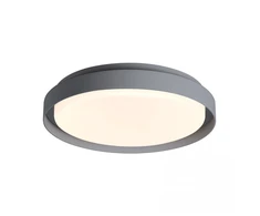 20W LED lauko plafonas, grafito sp., 3000K, IP65, E327