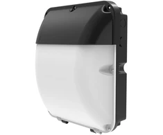 Sieninis šviestuvas 24/18W LED sieninis fasado šviestuvas WALLPACK COMBO, juodas, 4000/6500K, 110°, IP65