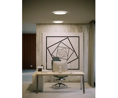 24W LED plafonas MEMO, matinės baltos sp., 3000/4000/6500K, IP54