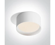 25W LED paviršinis šviestuvas, baltas, 3000/4000/5000K, IP44, 12125D/W/V