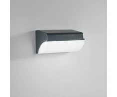 Sieninis šviestuvas 30W LED sieninis fasado šviestuvas BORDER, antracito sp., IP65