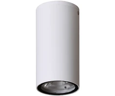 Pakabinamas šviestuvas 3W LED paviršinis fasado šviestuvas FANO 4K, baltas, 4000K