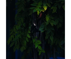 3W LED sieninis fasado šviestuvas KOALA, juodas, 3000K, IP65, 331355