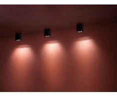4W LED paviršinis šviestuvas KURA TOP X2, tamsiai pilkas, 3000K, 28°