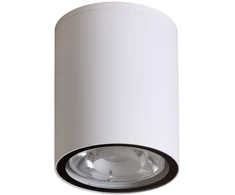 Lubinis šviestuvas 6W LED paviršinis fasado šviestuvas FANO 4K, baltas, 4000K