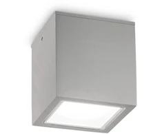 Lubinis šviestuvas Ideal Lux Paviršinis fasado šviestuvas TECHO, GU10, pilkas, IP54, 326887