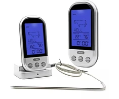 Skaitmeninis Termometras su zondu
