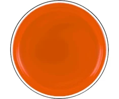 Lean Toys Oranžinė skraidanti lėkštė su dinozauru 20 cm
