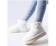 Sniego batai Solea
