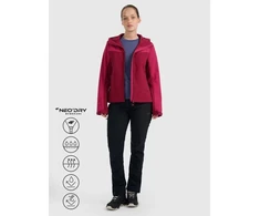 Softshell striukė 4F W 4FRAW25TSOFF505-60S