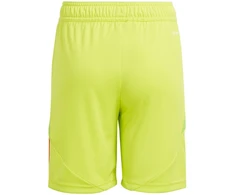 Šortai Adidas Tiro 24 Jr IT2421