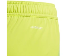 Šortai Adidas Tiro 24 Jr IT2421