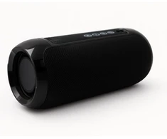 SQUEAK JET Bluetooth garsiakalbis 5.3, 14W, FM radijas, MicroSD, AUX, USB, USB-C SQ1008