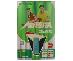 Stalo teniso raketė Aurora PRO 1* SG 1006 trumpa rankena