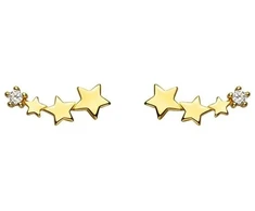 Stilingi auskarai Orion Gold