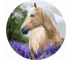 Tapyba pagal skaičius Auksinis arklys 40x40 cm