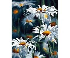 Tapyba pagal skaičius Baltos ramunės, 40 × 50 cm