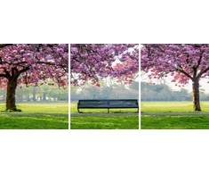 Tapyba pagal skaičius Pavasaris parke 40 × 50 × 3 cm