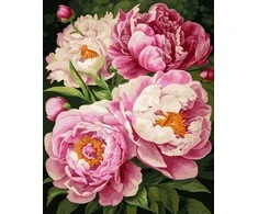 Tapyba pagal skaičius Švelniai rožinių bijūnų puokštė 40 × 50 cm