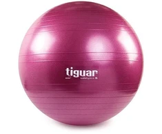 Gimnastikos kamuolys TIGUAR Safety Plus, 65cm