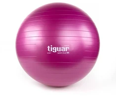 Gimnastikos kamuolys TIGUAR Safety Plus, 65cm