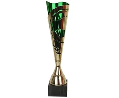 Triumfo futbolo taurė 3158