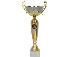Triumph Cup NT1024