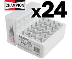 UŽDEGIMO ŽVAKĖS CHAMPION CJ7Y/W24 PJŪKLAMS IR TRIMERIAMS – 24 VNT.