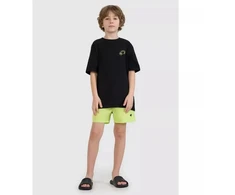 Vaikinų boardshort'ai 4F 4FJRMM00UBDSM110-45S