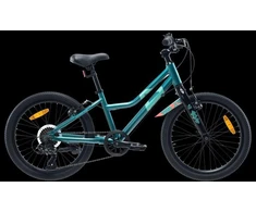 Vaikiškas dviratis Radvik Viking 20 92800597756
