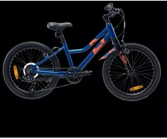 Vaikiškas dviratis Radvik Viking 20 92800597757