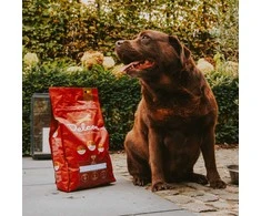 Visavertis pašaras suaugusiems šunims, turintiems padidėjusį svorį LIGHT / 3kg